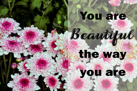Inspirational and motivational quote. Phrase You are beautiful the way you are. Blur and grainy effect appliedの写真素材