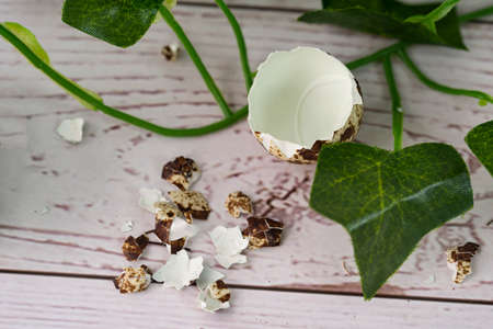 A broken empty shell of the quail egg with vine leaves. Selective focus points.