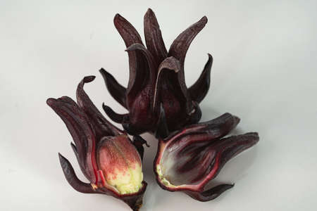 Halved Roselle showing the seed and the whole fruit. Roselle has many great health benefits.の写真素材