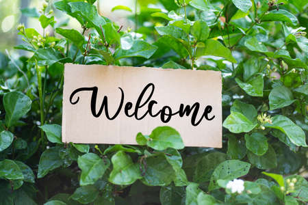 Welcome sign on a cardboard between the leaves. Selective focus points. Blurred backgroundの写真素材
