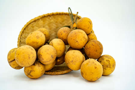 Local fruit called buah tampoi or Baccaurea macrocarpa. native to South East Asia. Selective focus points. Blurred backgroundの写真素材