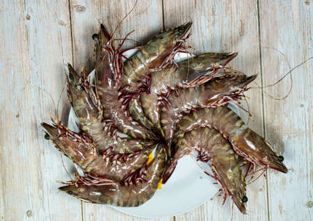 Fresh giant tiger prawns arranged in a circle. Tiger prawn widely reared for market. Selective focus pointsの写真素材