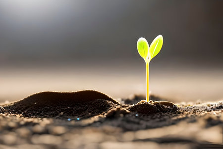 AI generated image of a young shoot of a plant coming out from the groundの素材