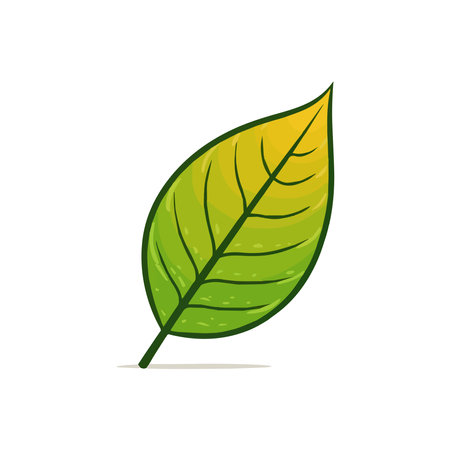Vector illustration in simple flat style with copy space for text  background with plants and leaves  backdrop for greeting cards, posters, banners and placardsのイラスト素材