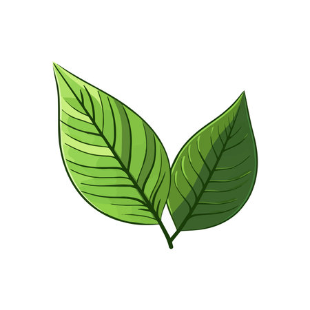 Vector illustration in simple flat style with copy space for text  background with plants and leaves  backdrop for greeting cards, posters, banners and placardsのイラスト素材