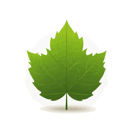 Vector illustration in simple flat style with copy space for text  background with plants and leaves  backdrop for greeting cards, posters, banners and placardsのイラスト素材