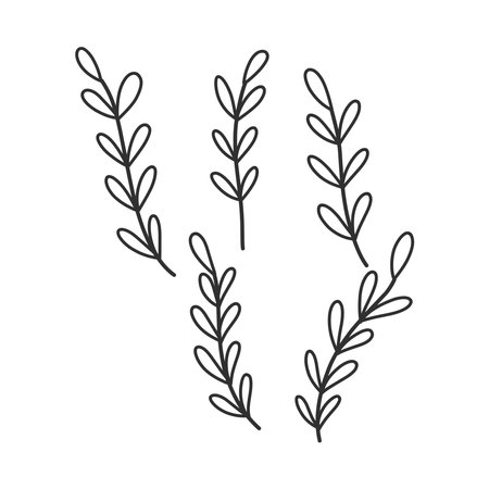 Floral branch and minimalist leaves for logo or tattoo. Hand drawn line wedding herb, elegant wildflowers. Minimal line art drawing for print, cover or wallpaperのイラスト素材