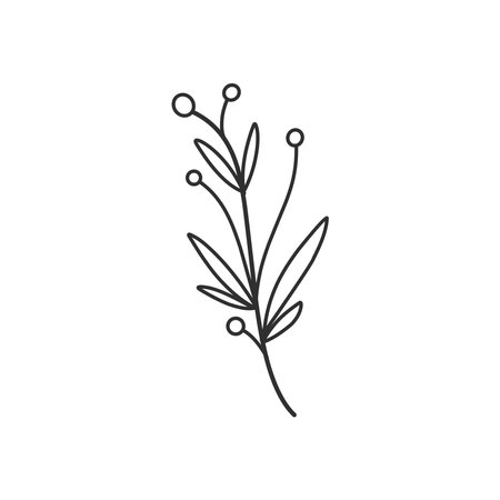 Floral branch and minimalist leaves for logo or tattoo. Hand drawn line wedding herb, elegant wildflowers. Minimal line art drawing for print, cover or wallpaperのイラスト素材