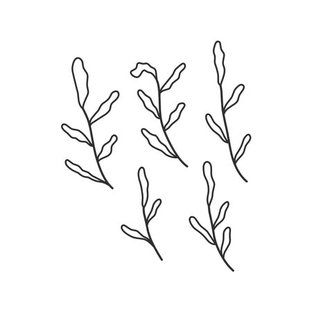 Floral branch and minimalist leaves for logo or tattoo. Hand drawn line wedding herb, elegant wildflowers. Minimal line art drawing for print, cover or wallpaperのイラスト素材