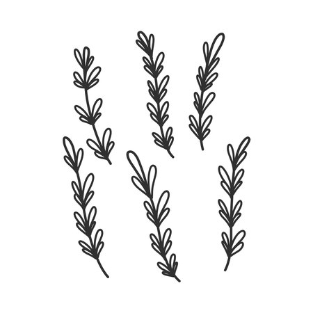 Floral branch and minimalist leaves for logo or tattoo. Hand drawn line wedding herb, elegant wildflowers. Minimal line art drawing for print, cover or wallpaperのイラスト素材