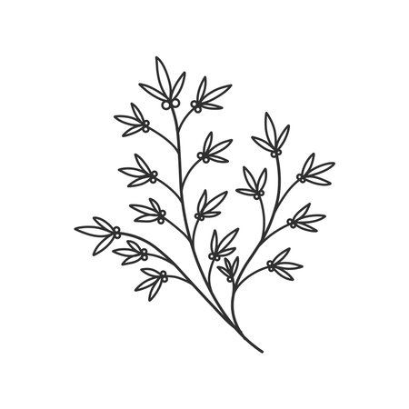 Floral branch and minimalist leaves for logo or tattoo. Hand drawn line wedding herb, elegant wildflowers. Minimal line art drawing for print, cover or wallpaperのイラスト素材
