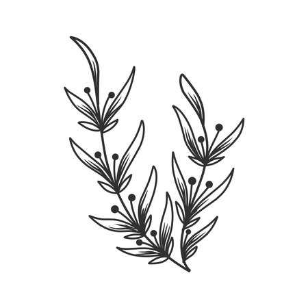Floral branch and minimalist leaves for logo or tattoo. Hand drawn line wedding herb, elegant wildflowers. Minimal line art drawing for print, cover or wallpaperのイラスト素材