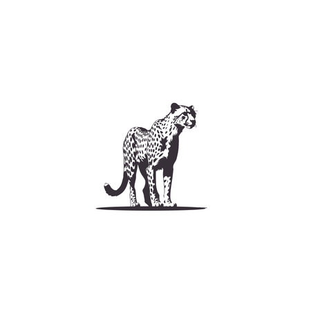 Cheetah silhouettes set vector design, cheetah black Silhouette vector art Illustration with white backgroundのイラスト素材