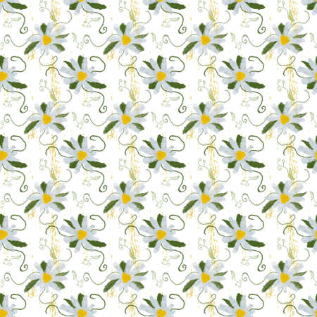 abstract daisy  flowers seamless pattern, fabric, surface, fashion style, digital wrap paper, wallpaperの写真素材