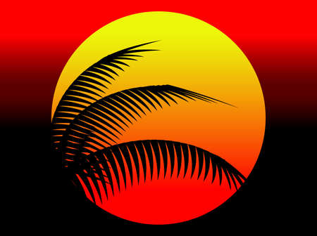 summer sunset and coconut treeのイラスト素材