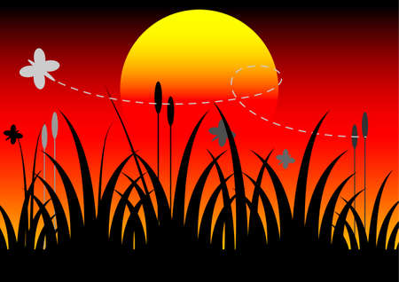 butterfly and sunset backgroundのイラスト素材