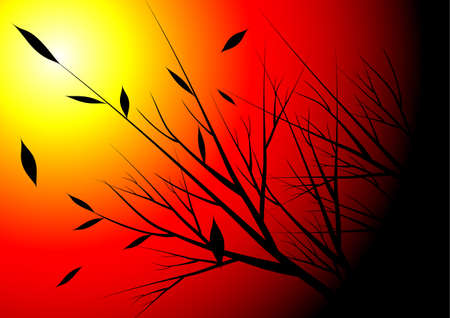 sunset in autumnのイラスト素材
