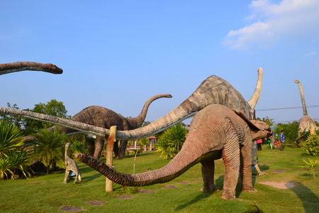 Apatosaurusの写真素材