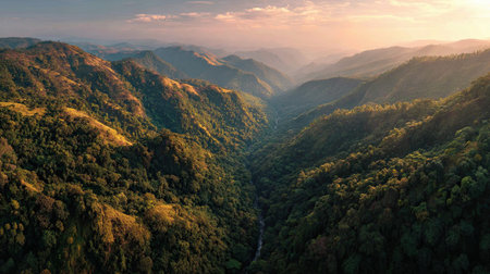 A wide angle cinematic landscape photograph 79 of Vythiri Rainforest Ravine showcasing the expansive environment and vast scale of Sunset over jungle canyon, set in Indian Golden Autumn, during Fiery sunset alpenglow, long shot, panoramic perspective, 8k resolution, geological accuracy, vibrant color palette