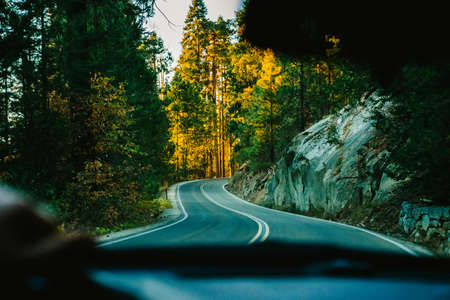 Empty Road with double yellow lines in the forest in Mountains in Fall in California national parkの写真素材