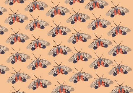 Seamless pattern with butterflies on orange background. Vector illustration.の写真素材
