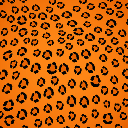 Leopard skin vector pattern. Collection of animal texture.の写真素材