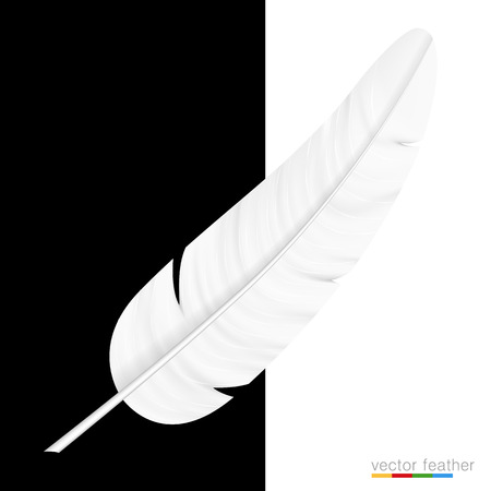 White feather on black and white background. Vector illustrationのイラスト素材