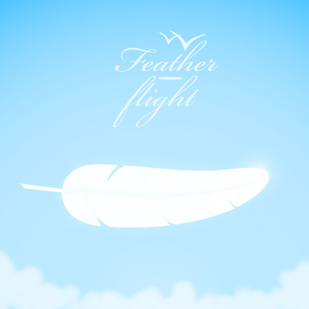 White feather in the sky background. Vector illustration.のイラスト素材
