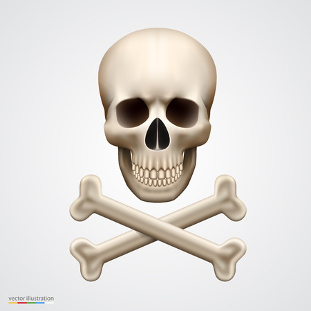 Human skull isolated on white. Vector illustrationのイラスト素材