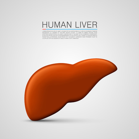 liver sign medical object art. Vector Illustrationのイラスト素材