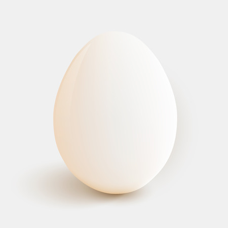 Clean egg isolated od white. Vector illustrationのイラスト素材