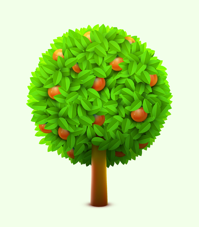 Cute orange or mandarin tree with green leaves and ripe oranges. Realistic citrus tree. Eco harvest concept.のイラスト素材