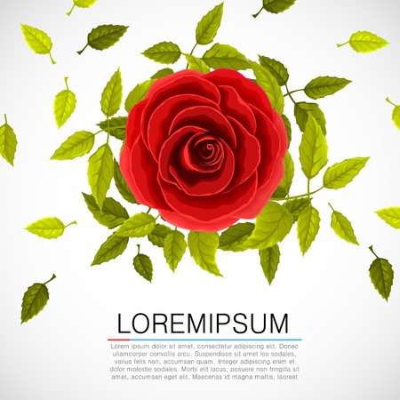 Floral pattern with rose and leafs on bright background. Vector illustration.のイラスト素材