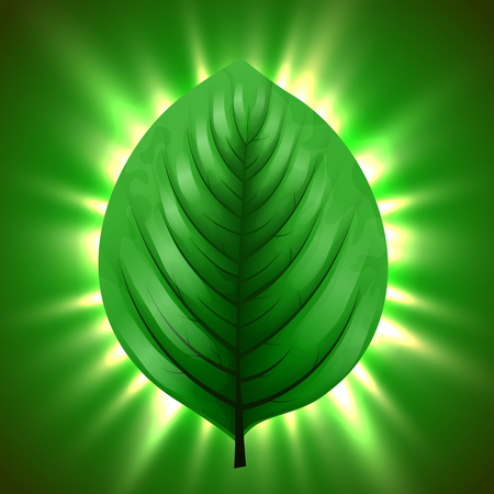 Green leaf with light beams. Eco nature background concept.のイラスト素材