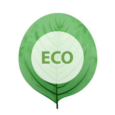 Leaf with eco frame. Green eco friendly sign.のイラスト素材