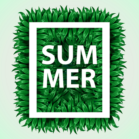 Realistic grass frame. Eco concept. Fresh grass in form of square.のイラスト素材