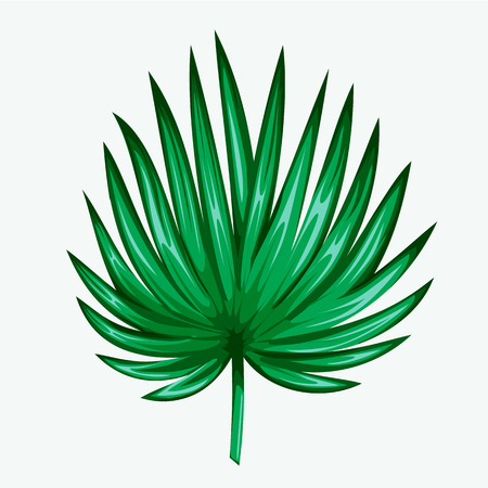 Green leaf of palm tree isolated on white background. Palm leaf icon.のイラスト素材