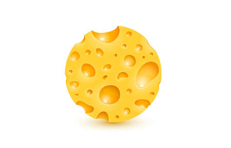 Cheese organic icon, food object white background. Vectorのイラスト素材