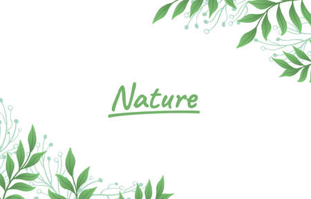 Cover nature botanical, banner green border, beautiful art forest, Vectorのイラスト素材