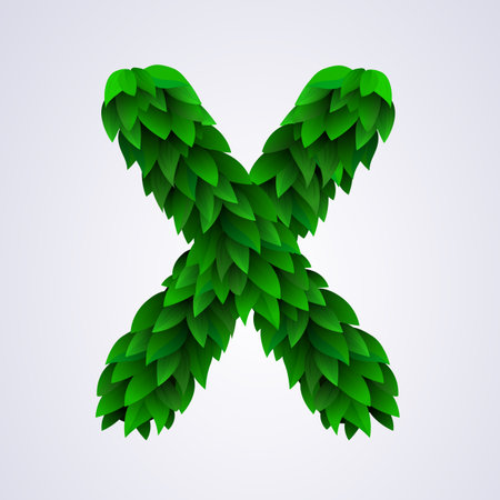 Alphabet letters made from fresh green leafs. Letter Xのイラスト素材