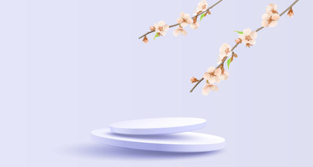Podium nature presentation, season banner beauty, sakura holiday event. Vectorのイラスト素材