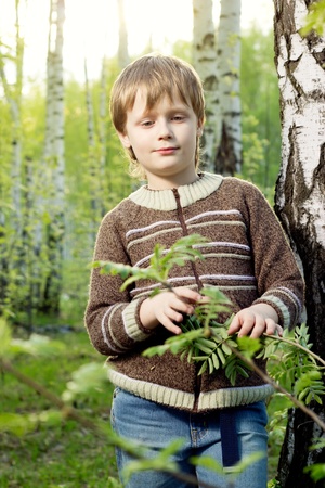 Smiling little boy in spring birch sunny forestの写真素材