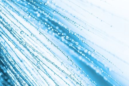 Abstract macro photo of plant seeds with water drops. Watercolor stylization.の写真素材