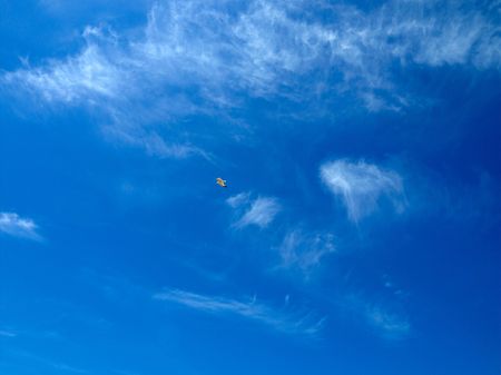 solitary seagull to fly in blue skyの写真素材