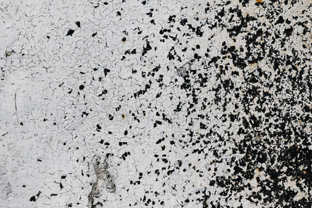 White and grey speckles weathered wall textureの写真素材