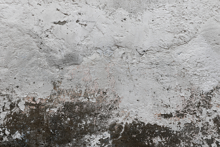 Grungy white and grey wall textureの写真素材