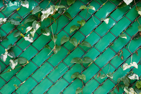 Green plastic wall with metal mesh textureの写真素材
