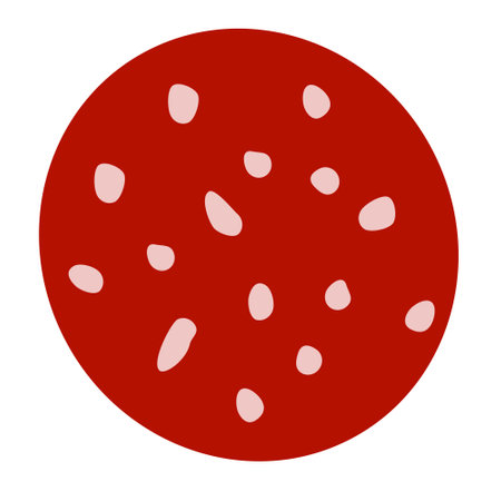Slice of salami sausage isolated on white vector image on white background. food. Clipart.のイラスト素材