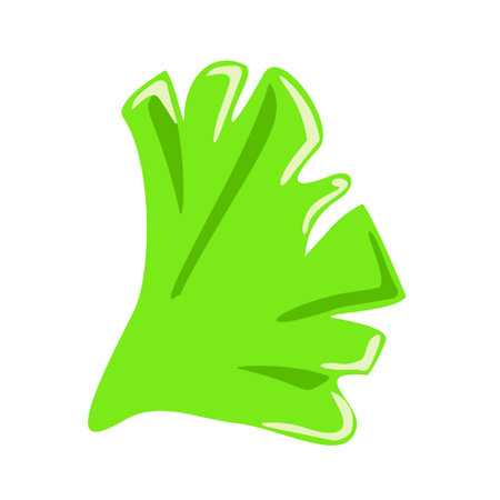 Isolated green Lettuce leaf on a white background. The concept of a healthy diet. Nutritiology. vector illustration.のイラスト素材