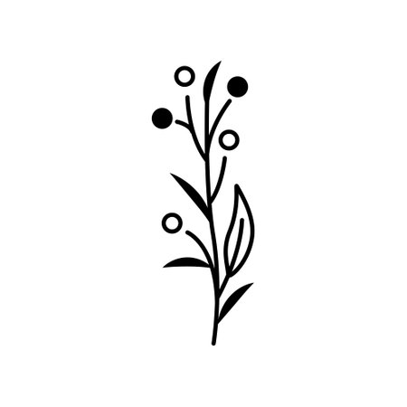 Black silhouette of an abstract plant with leaves and dots. Clipart. isolated element.のイラスト素材
